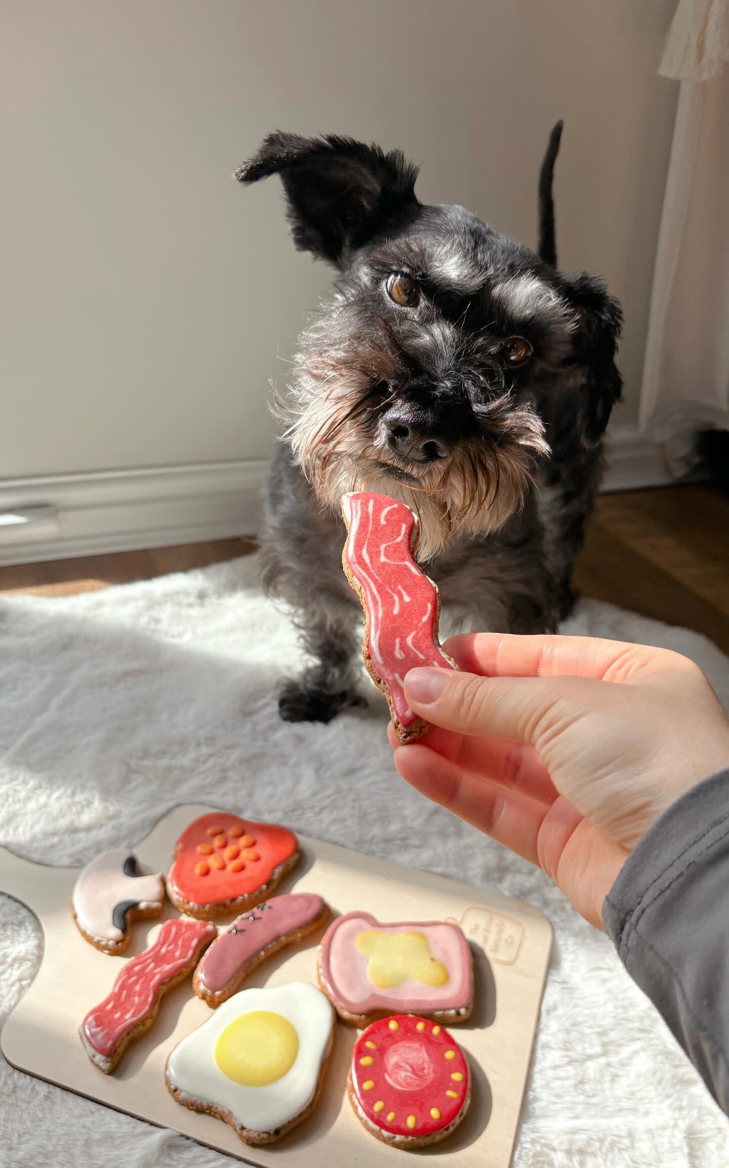 Fry up barkuterie dog biscuit board