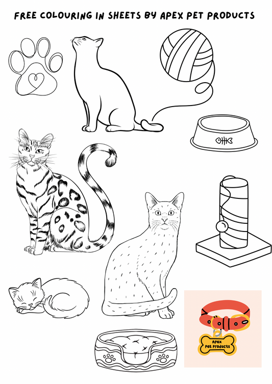 Free download - cats colouring in sheet