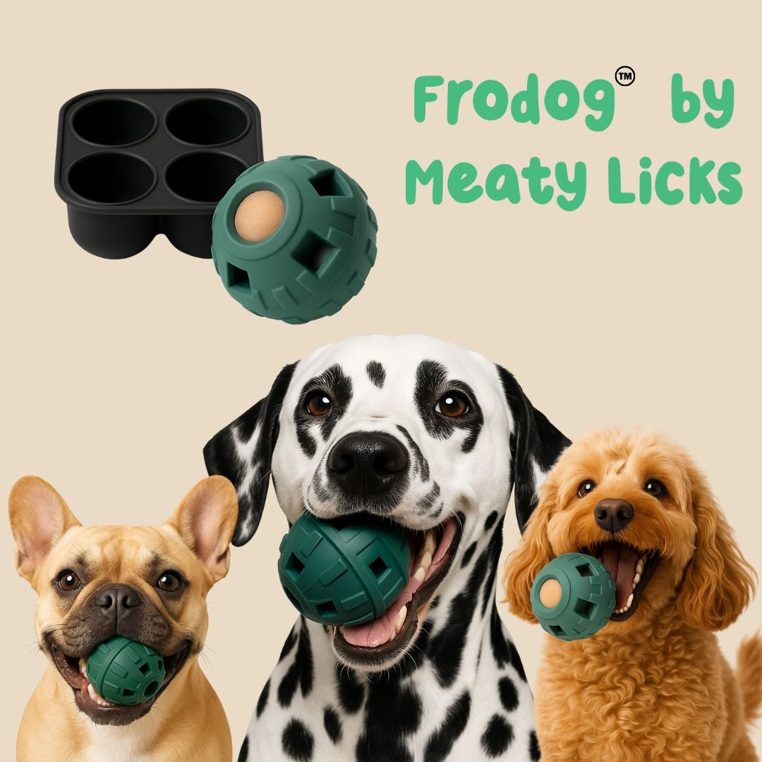 Frodog by Meaty Licks - size large - pre-order despatch end of August
