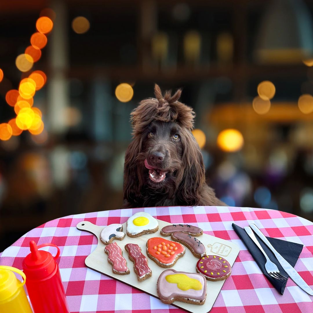 Fry up barkuterie dog biscuit board