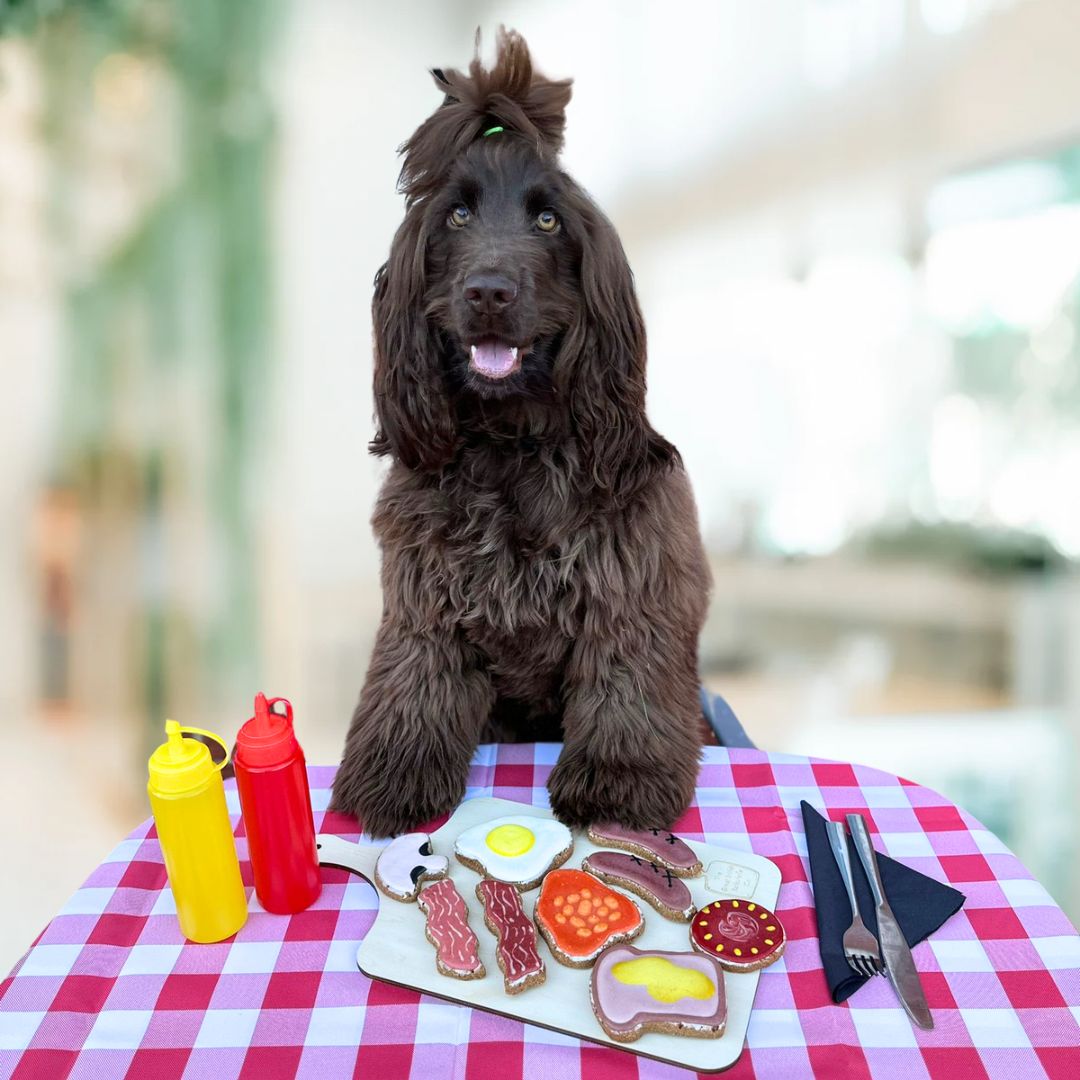 Fry up barkuterie dog biscuit board