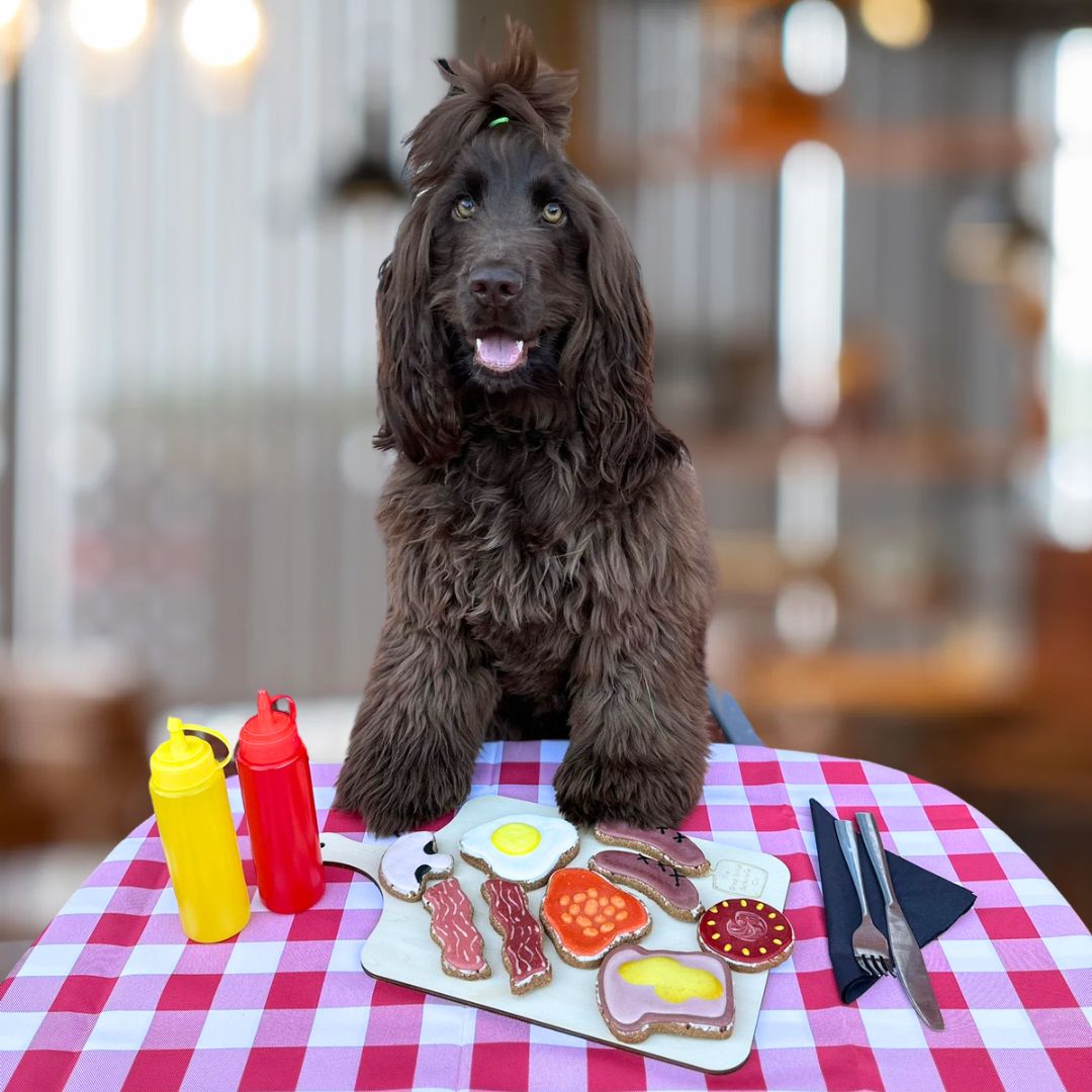 Fry up barkuterie dog biscuit board