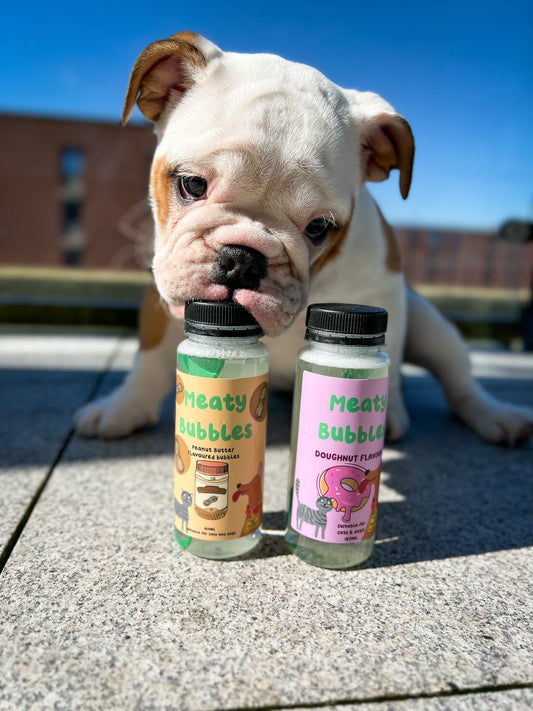 Meaty Bubbles: The Ultimate Pet Enrichment Tool for Happy and Healthy Pets!