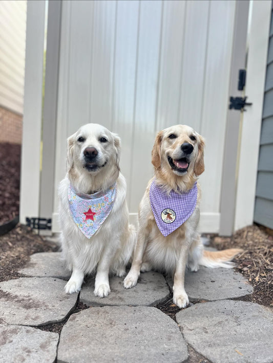 Transform Your Pup’s Bandana with Fun and Stylish Iron-On Patches!