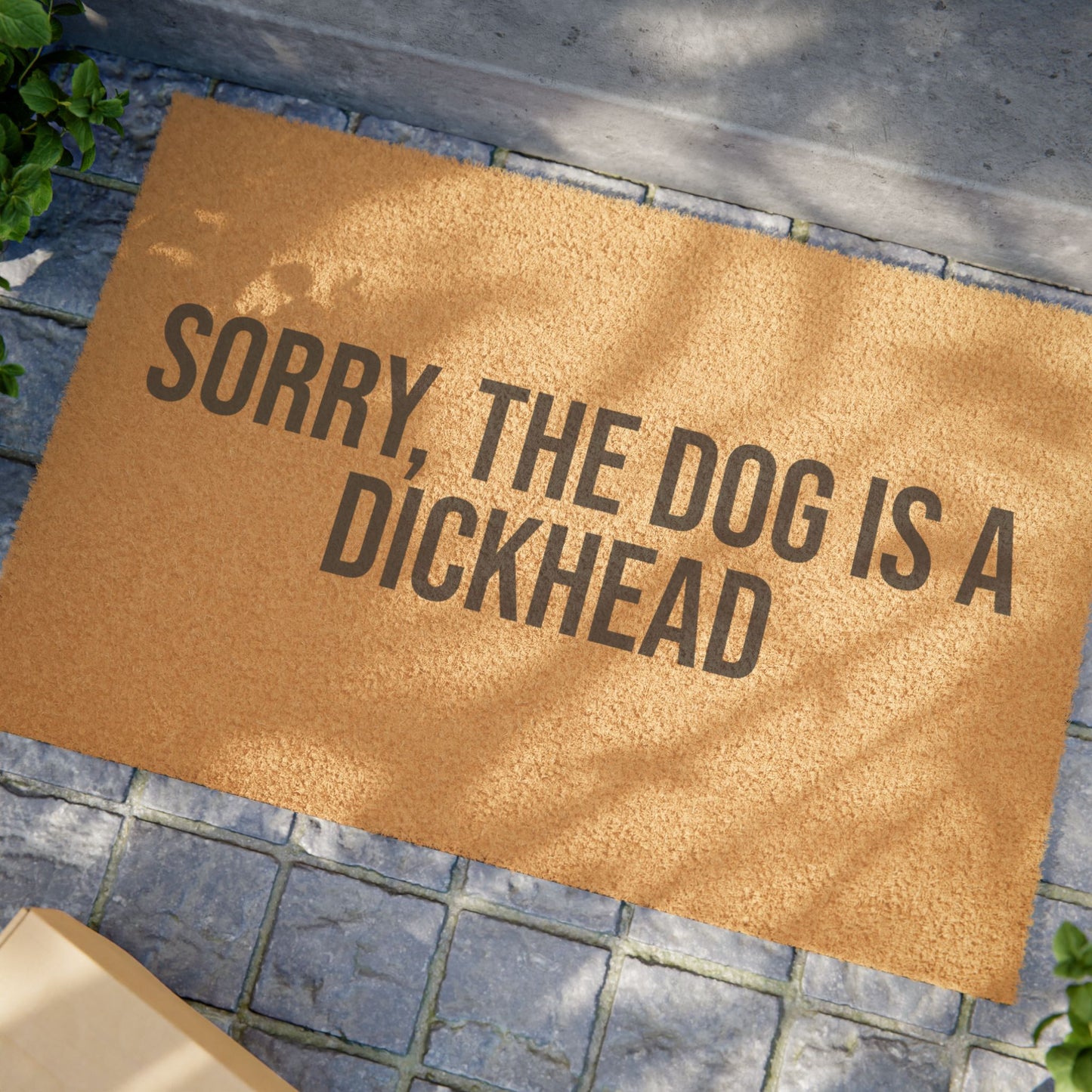 Sorry, the dog is a D***head Doormat