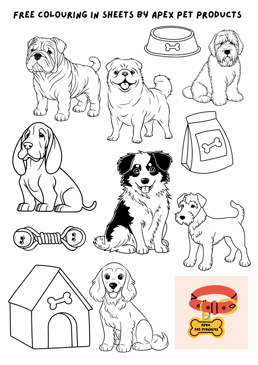 Free download - dogs colouring in sheet